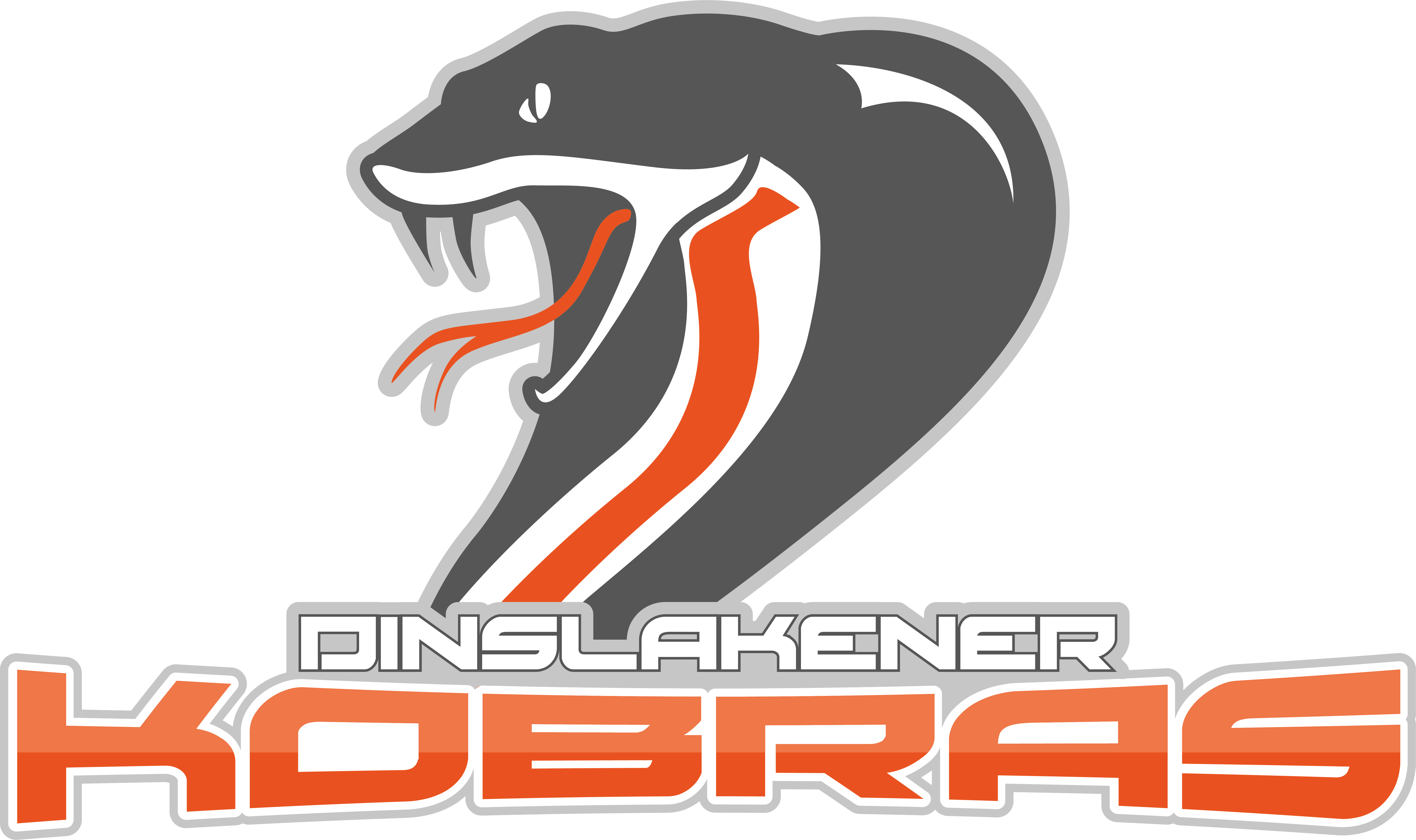 Dinslakener Kobras e.V. Senioren